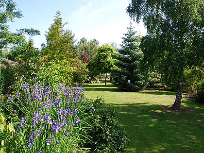 Bluebell Arboretum