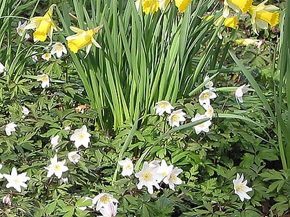 gwen and veras fields