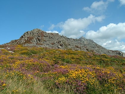 mynydd carningli parc national cotier du pembrokeshire