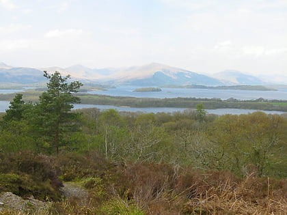 Loch Lomond National Nature Reserve