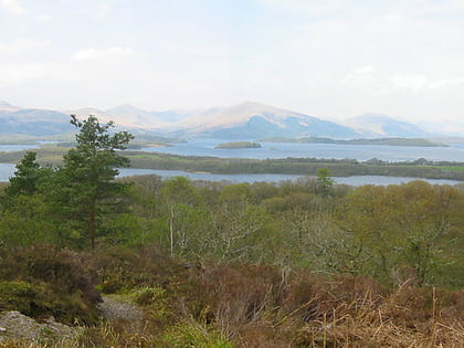 loch lomond national nature reserve balmaha