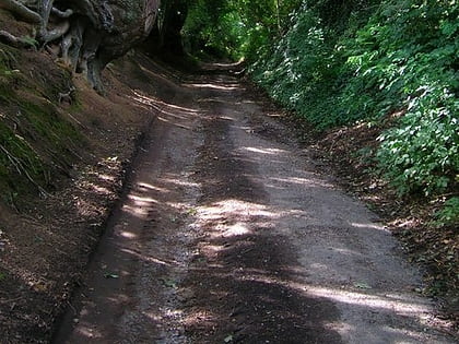 park farm cutting pulborough