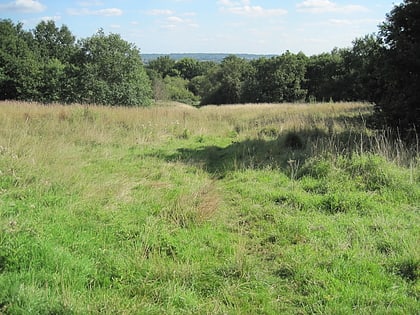 arrandene open space and featherstone hill london