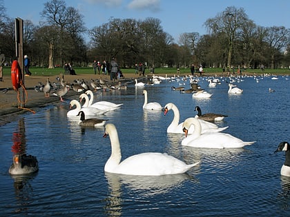 round pond london