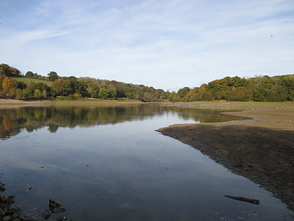 Ardingly Reservoir