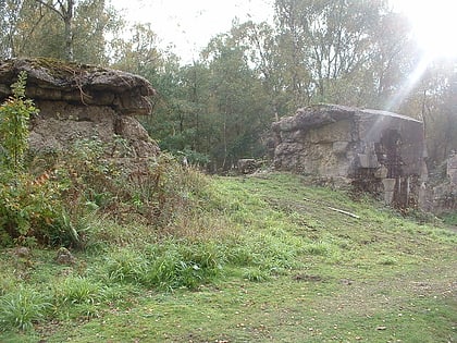 Hankley Common