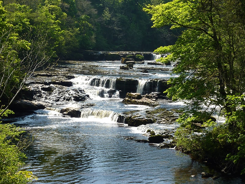 aysgarth falls parque nacional de yorkshire dales