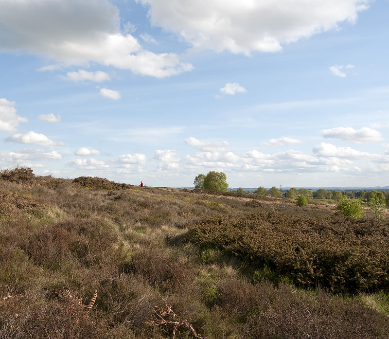 Cannock Chase