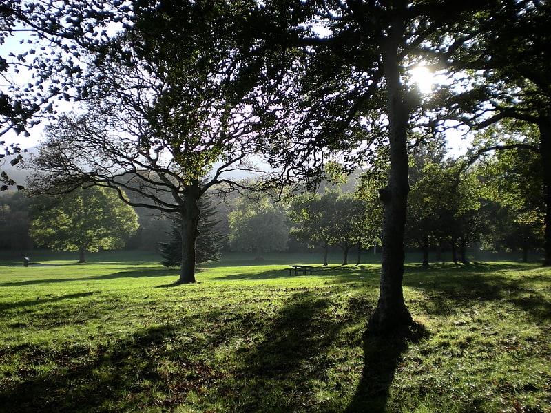 donard park newcastle