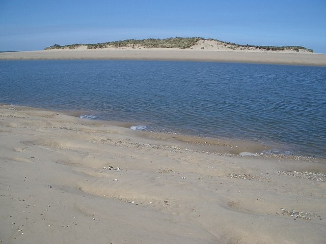 scolt head island north norfolk coast site of special scientific interest