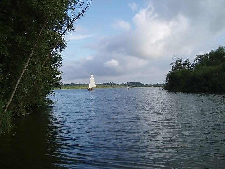 barton broad narodowy rezerwat przyrody ant broads marshes