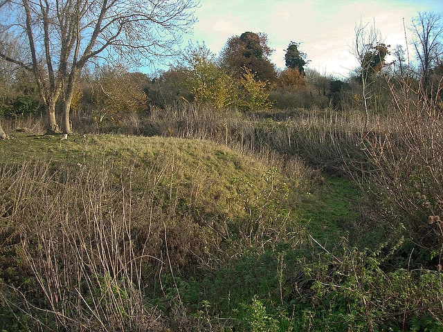 fulbourn fen