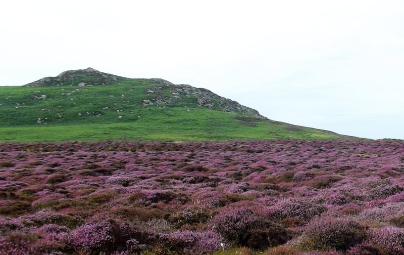 Ramsey Island