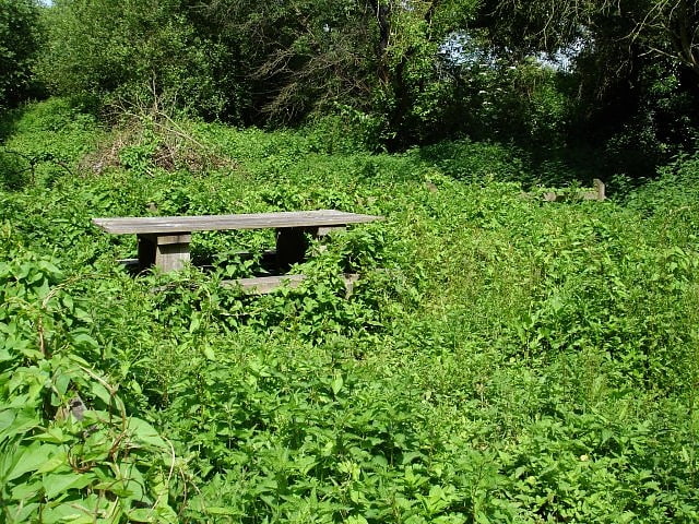 berengrave chalk pit rainham