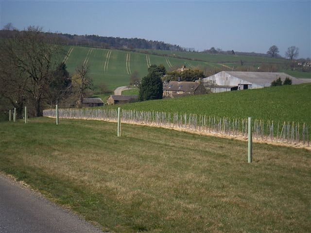 blenheim farm charlbury