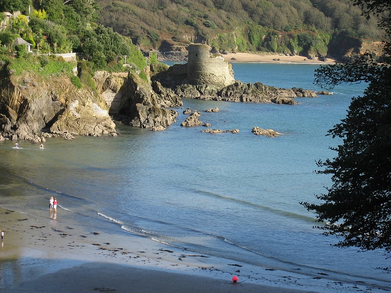 salcombe castle