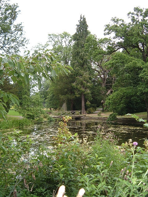 thorp perrow arboretum bedale