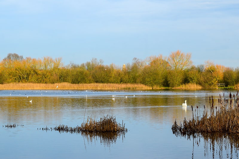 irthlingborough lakes and meadows