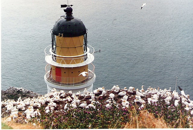 phare de bass rock