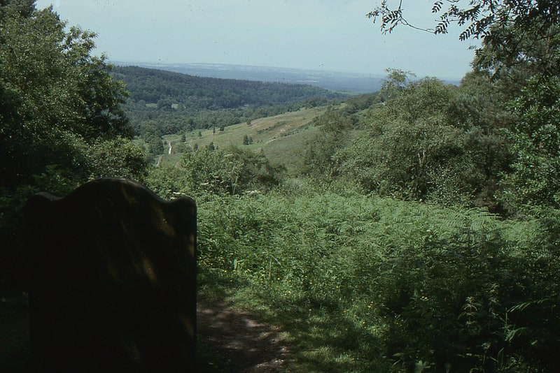 devils punch bowl hindhead