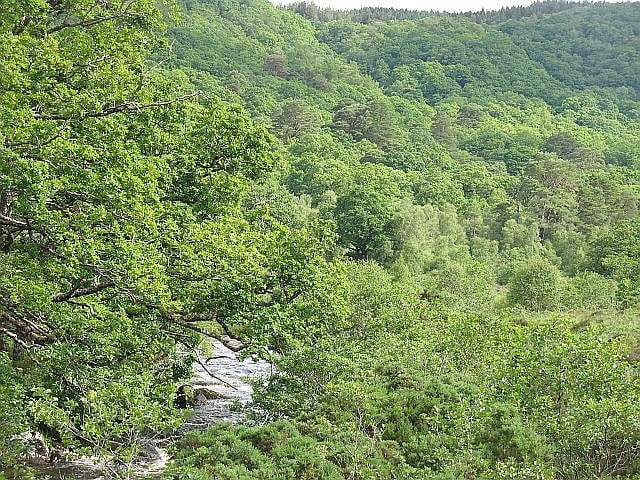 reserva de la naturaleza nacional ariundle oakwood estroncia