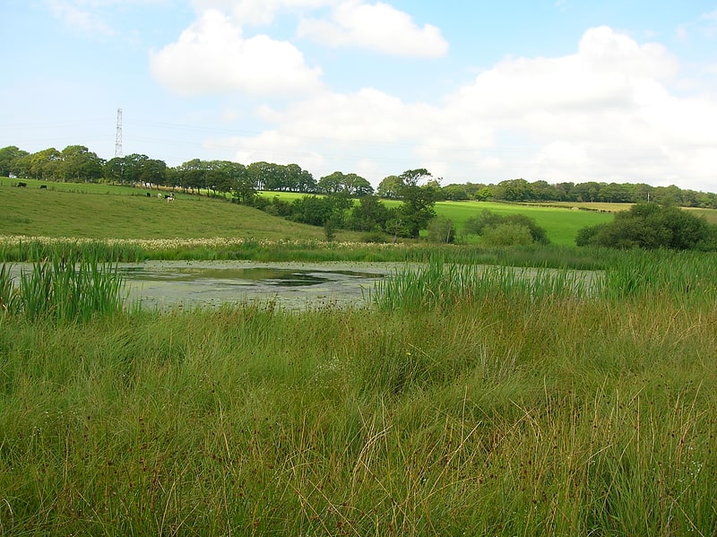 lochend loch coylton