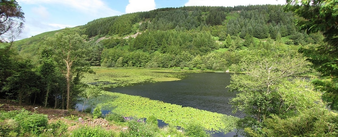 llyn gwernan penmaenpool