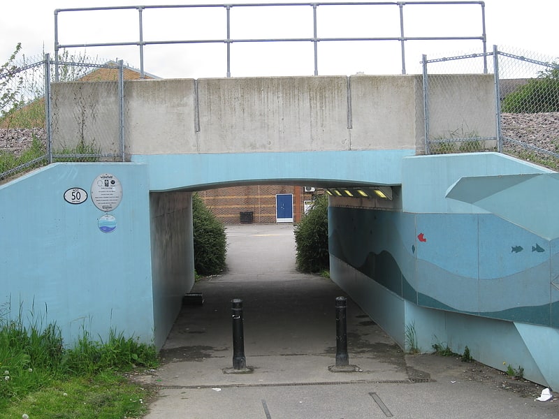 tickle cock bridge castleford