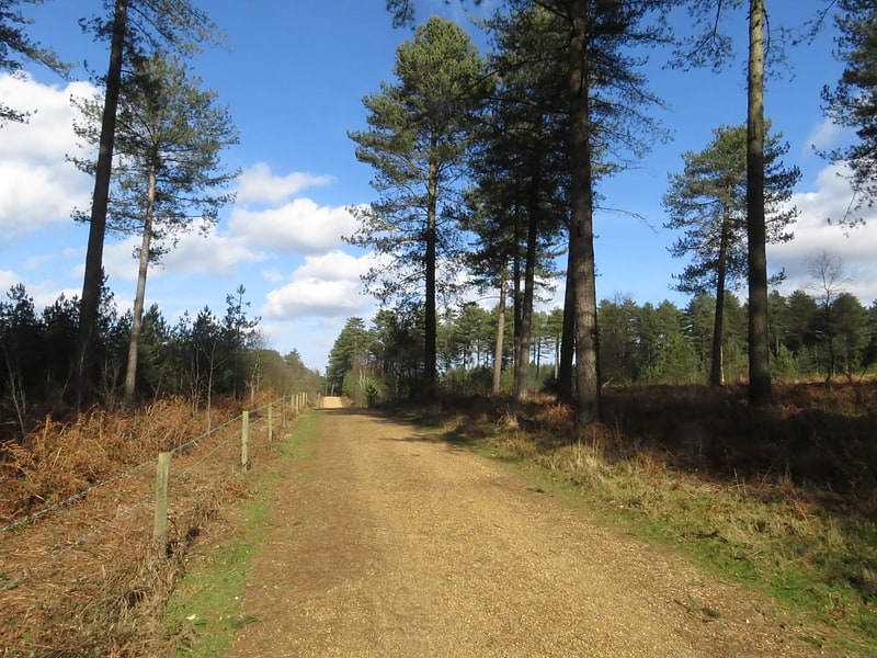 moors valley country park ringwood