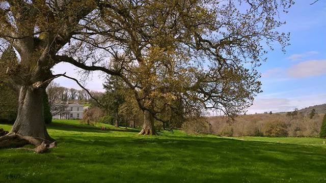 parke national trust bovey tracey