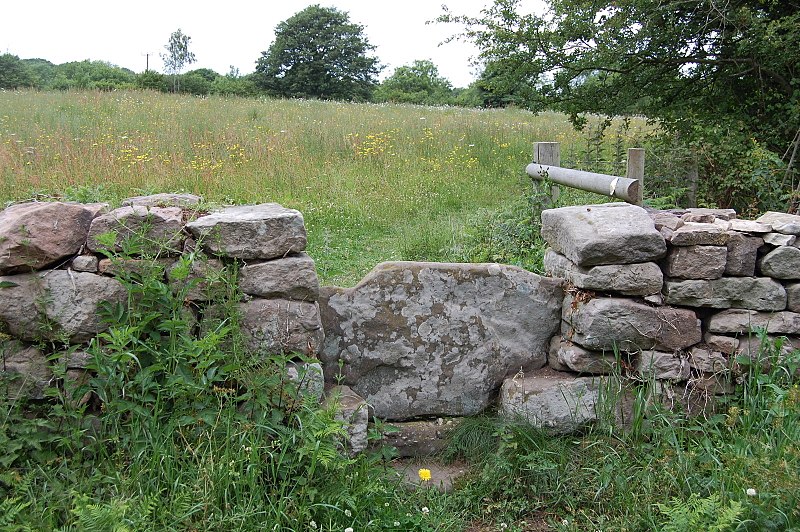 Pentwyn Farm Grasslands