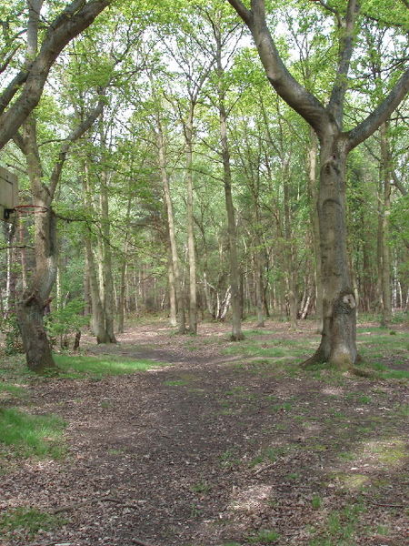 Horsell Common