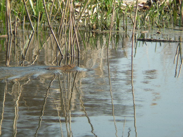 Nind Nature Reserve