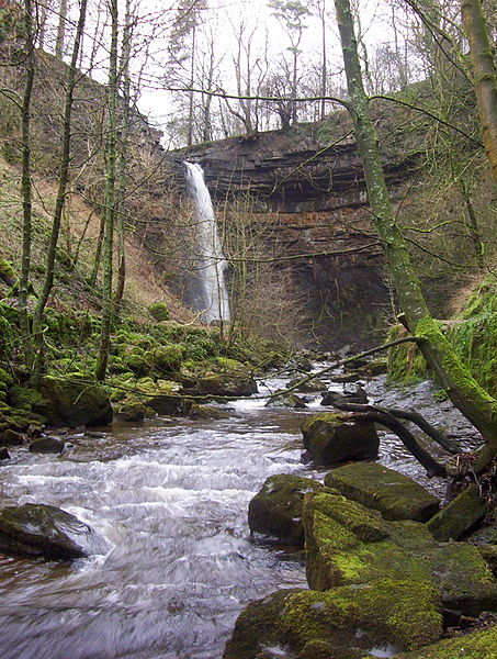 Hardraw Force