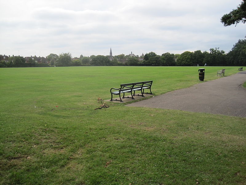 Lyttelton Playing Fields