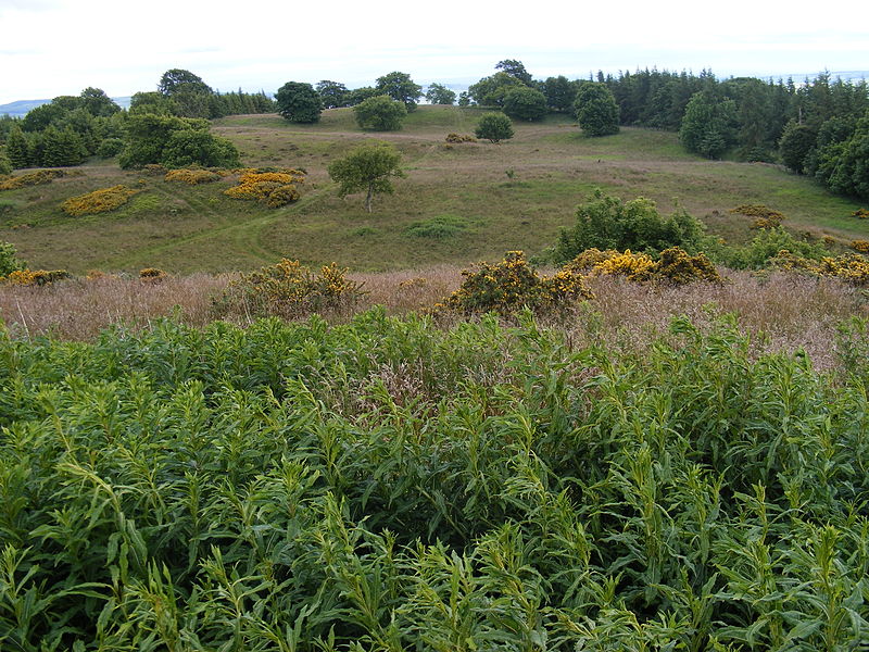 Cairnie Hill