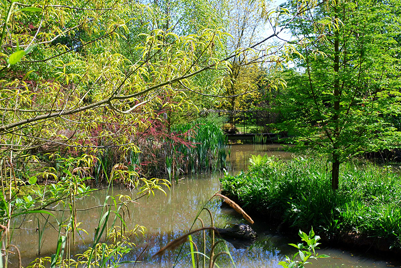 Bluebell Arboretum