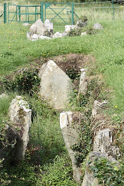 Audleystown Court Cairn