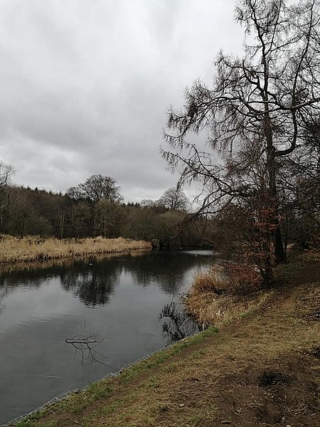 Trottick Mill Ponds