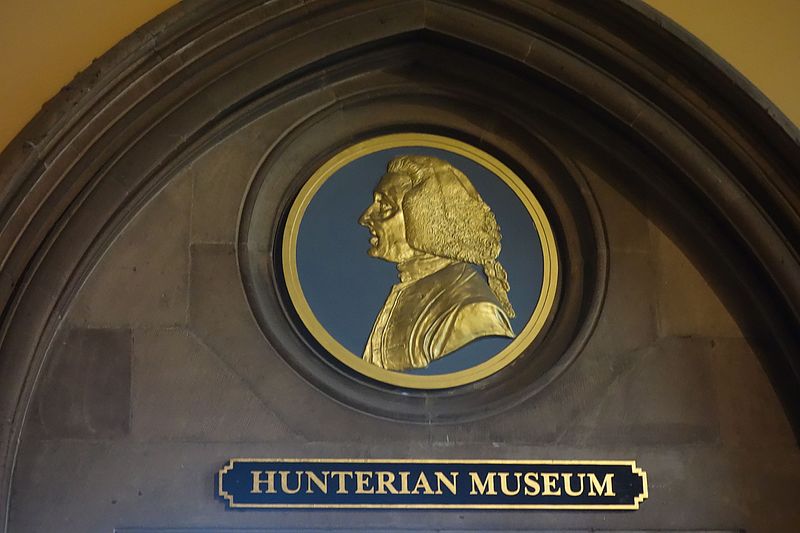 Hunterian Museum and Art Gallery