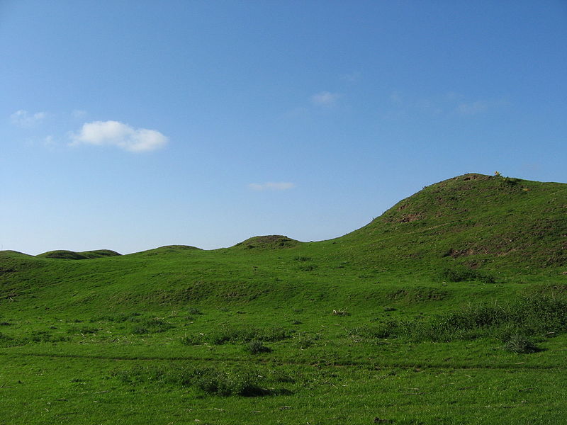 Chesters Hill Fort