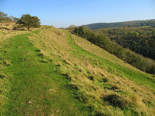 Dolebury Warren