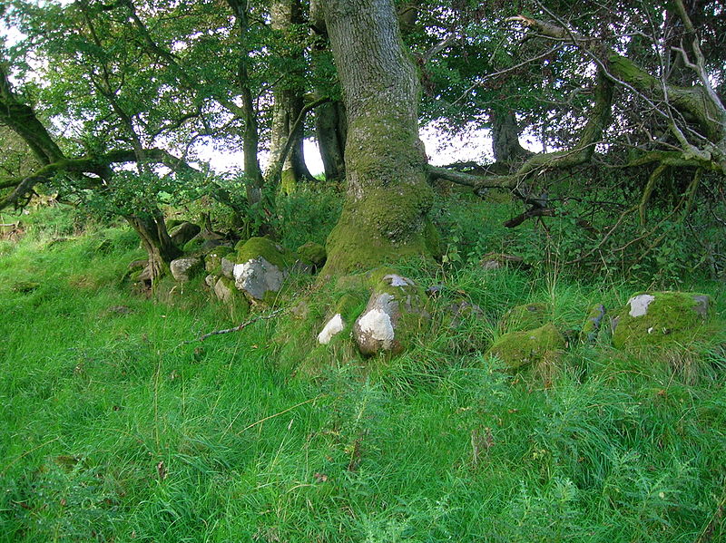 Kerse Castle