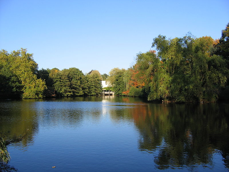 Universidad de Essex