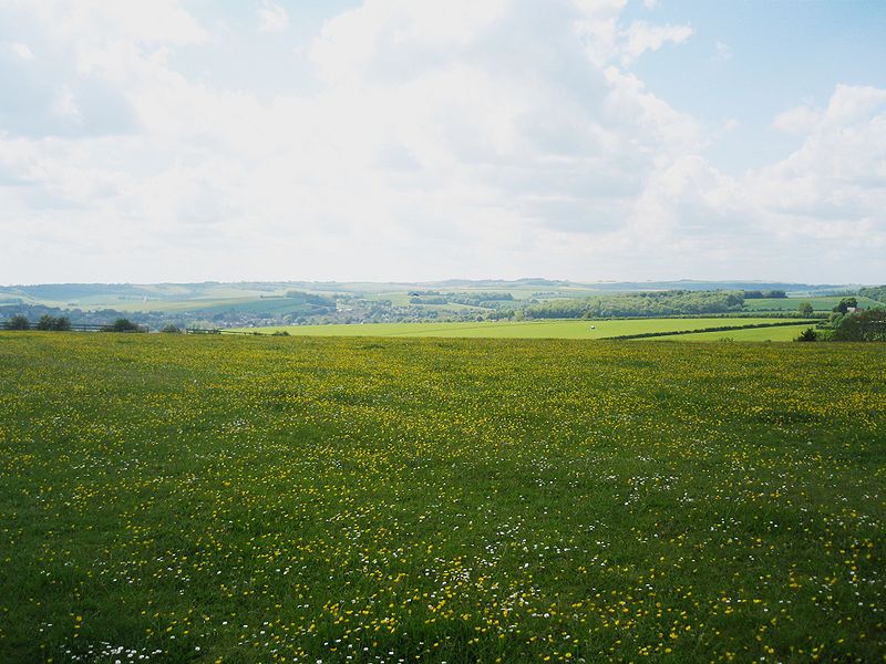 Berkshire Downs