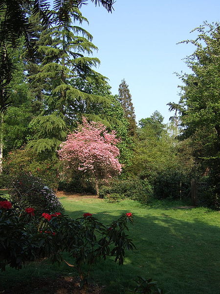 Harcourt Arboretum