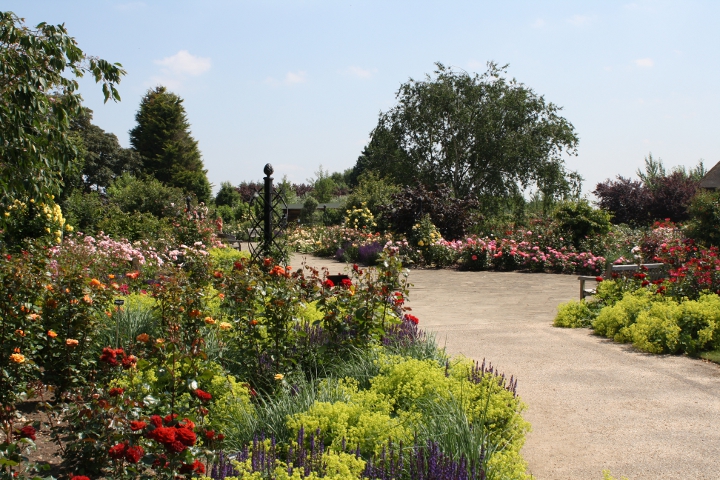 Royal National Rose Society Gardens