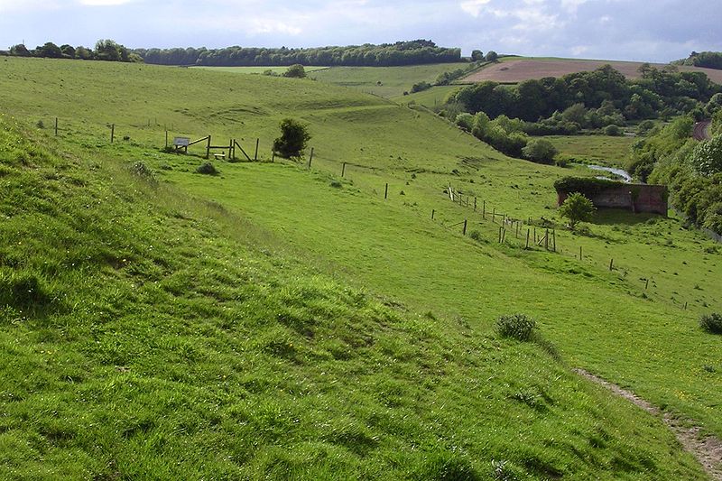 Poundbury Hill