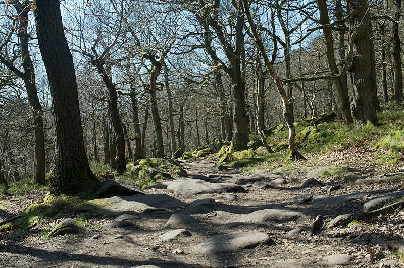 Padley Gorge, Peak District
