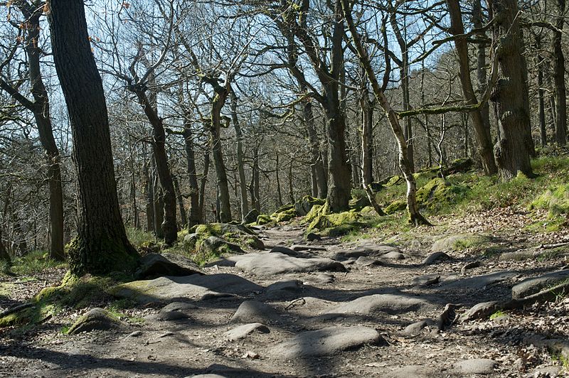 Padley Gorge